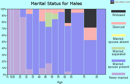 Zip code 65264 marital status for males