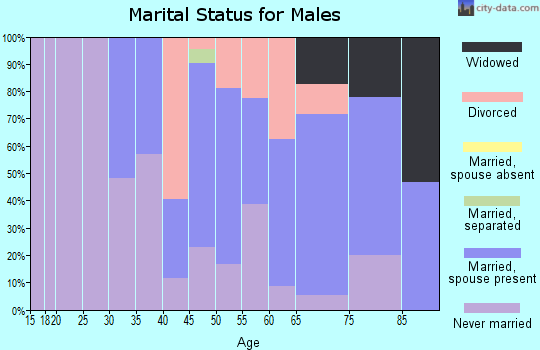 Zip code 65274 marital status for males