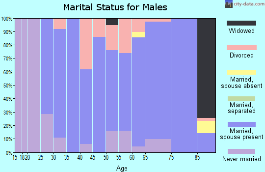 Zip code 65276 marital status for males