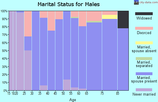 Zip code 65279 marital status for males