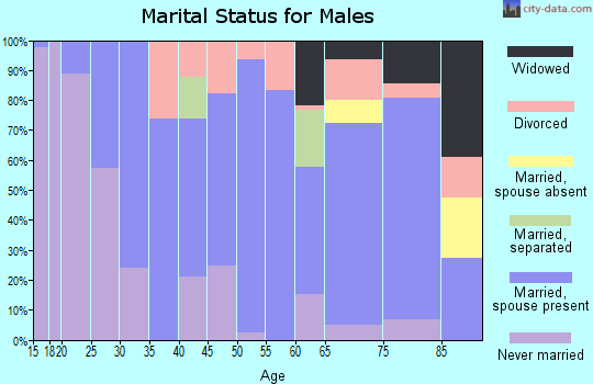 Zip code 65281 marital status for males