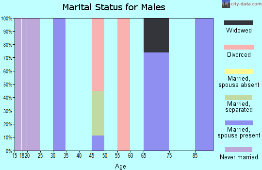 Zip code 65286 marital status for males