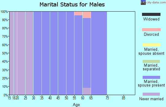 Zip code 65287 marital status for males