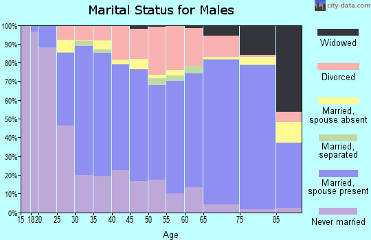 Zip code 65301 marital status for males