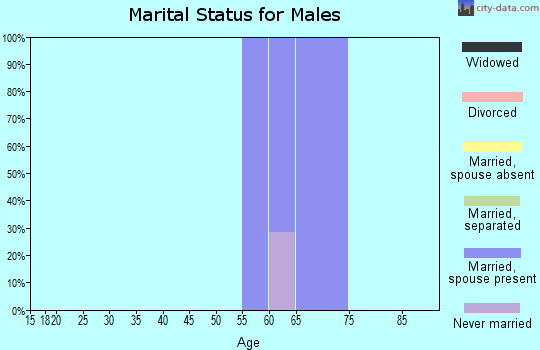 Zip code 65320 marital status for males