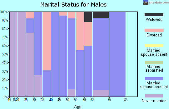 Zip code 65321 marital status for males