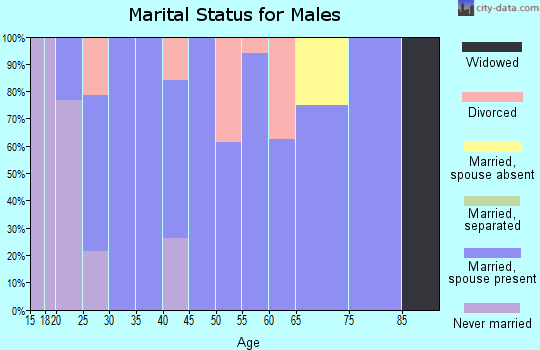Zip code 65322 marital status for males