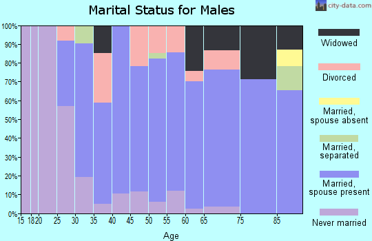 Zip code 65325 marital status for males