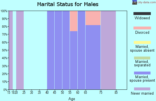 Zip code 65329 marital status for males