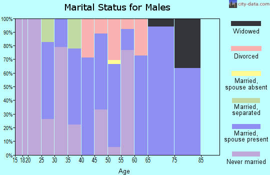 Zip code 65330 marital status for males