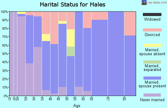 Zip code 65332 marital status for males