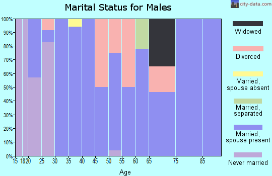 Zip code 65333 marital status for males