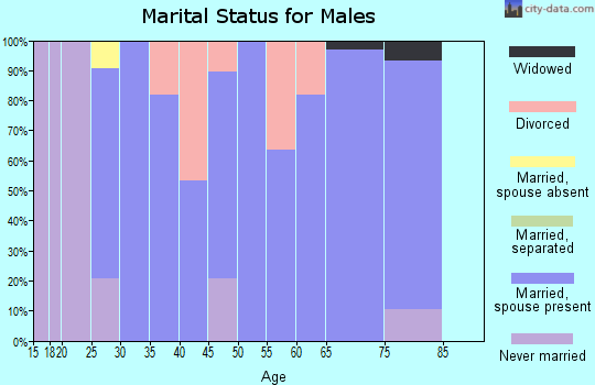 Zip code 65334 marital status for males