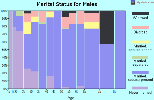 Zip code 65336 marital status for males