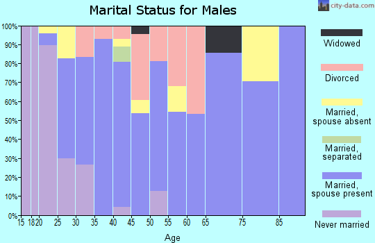 Zip code 65337 marital status for males