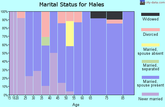 Zip code 65339 marital status for males