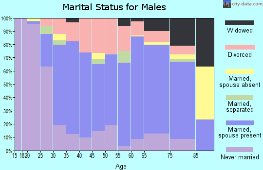 Zip code 65340 marital status for males