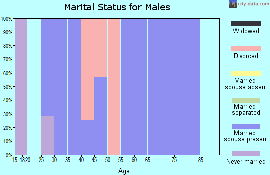 Zip code 65344 marital status for males
