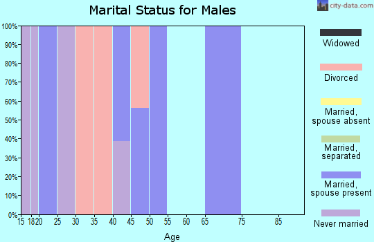 Zip code 65345 marital status for males