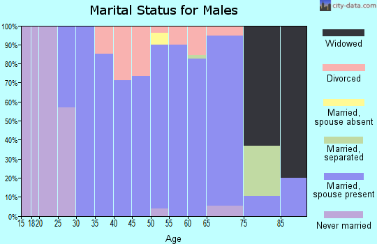 Zip code 65347 marital status for males