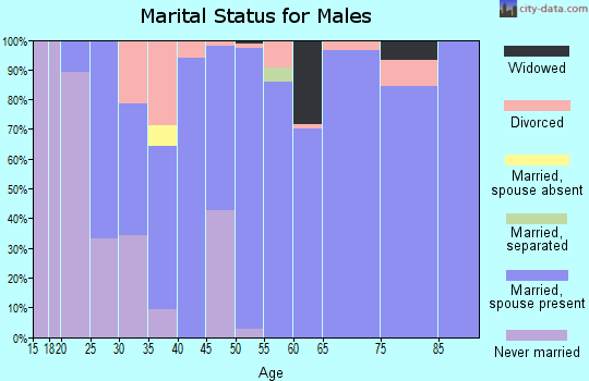 Zip code 65348 marital status for males