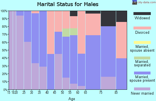 Zip code 65349 marital status for males
