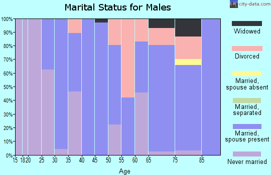 Zip code 65350 marital status for males