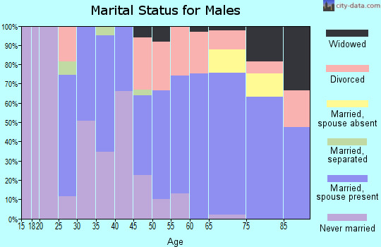 Zip code 65351 marital status for males