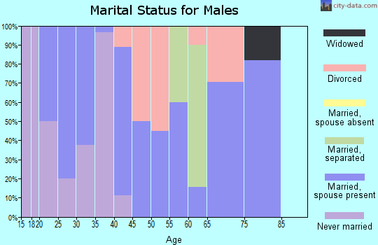 Zip code 65354 marital status for males