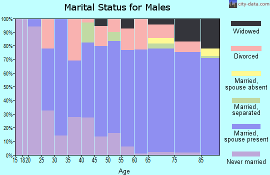 Zip code 65355 marital status for males