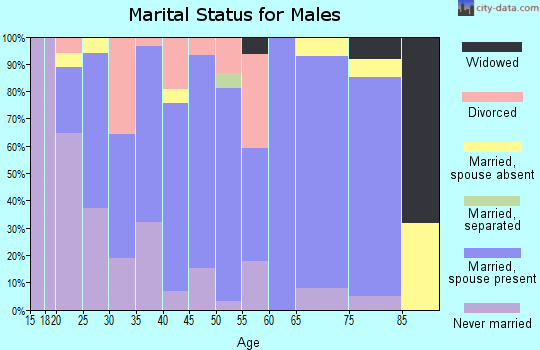 Zip code 65360 marital status for males