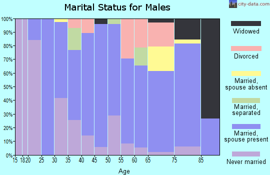 Zip code 65438 marital status for males