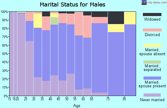 Zip code 65441 marital status for males