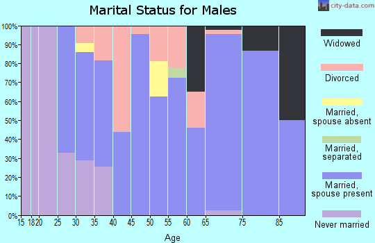 Zip code 65452 marital status for males