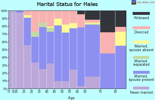 Zip code 65453 marital status for males
