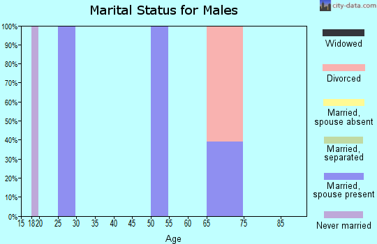 Zip code 65457 marital status for males