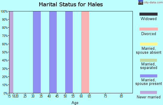 Zip code 65461 marital status for males