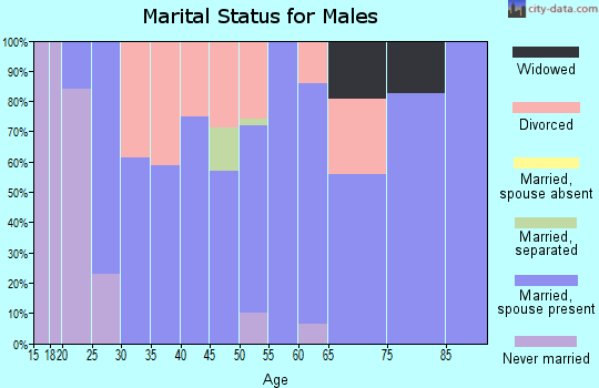 Zip code 65462 marital status for males