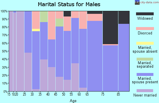 Zip code 65483 marital status for males