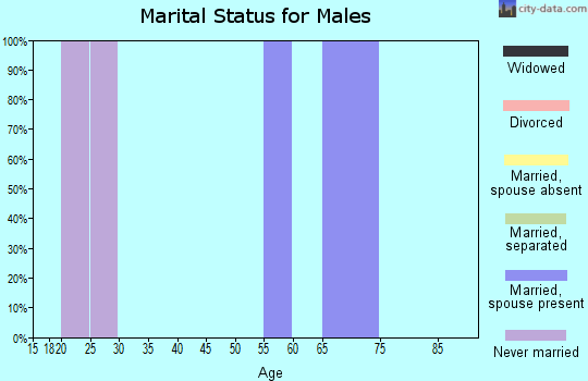 Zip code 65484 marital status for males