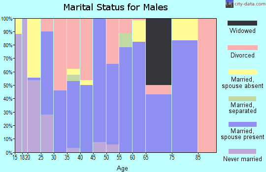 Zip code 65535 marital status for males