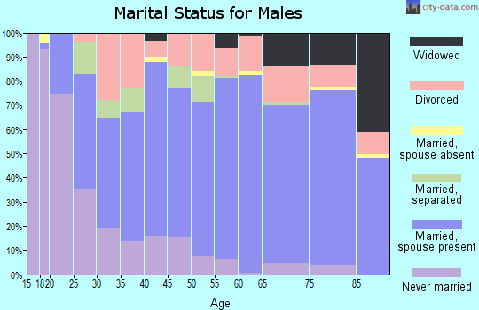 Zip code 65536 marital status for males