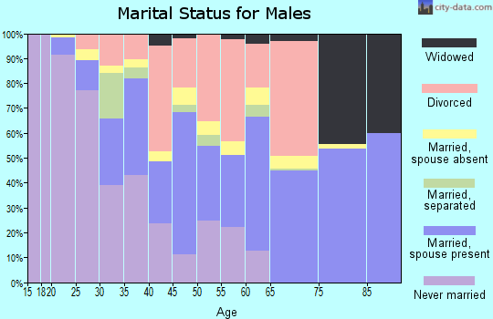 Zip code 65542 marital status for males