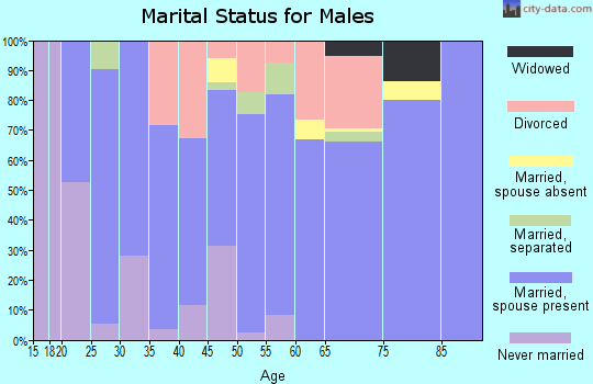Zip code 65548 marital status for males