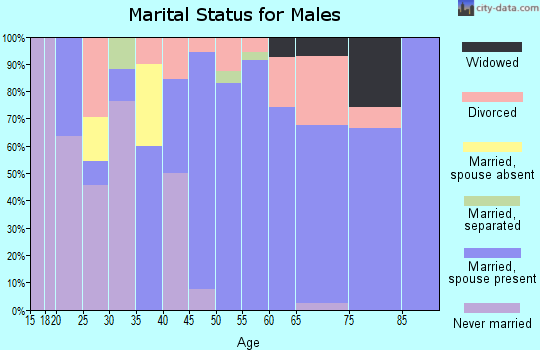 Zip code 65555 marital status for males