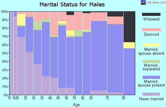 Zip code 65560 marital status for males
