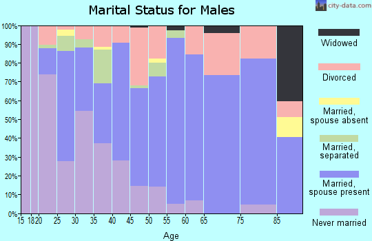 Zip code 65565 marital status for males