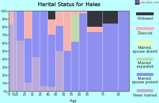 Zip code 65571 marital status for males