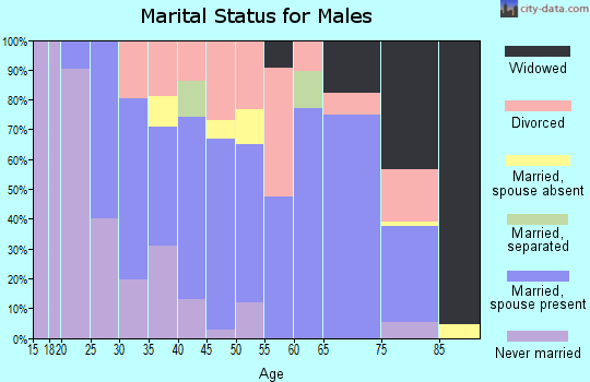 Zip code 65583 marital status for males