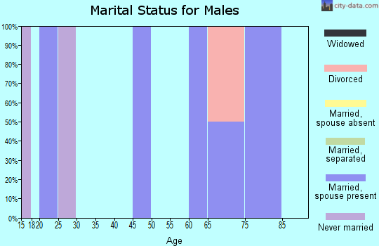 Zip code 65589 marital status for males